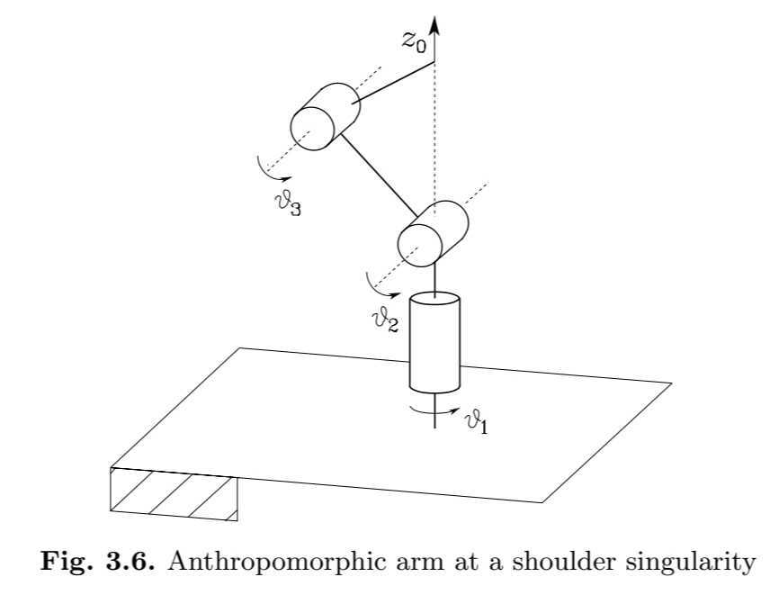 arm singularity